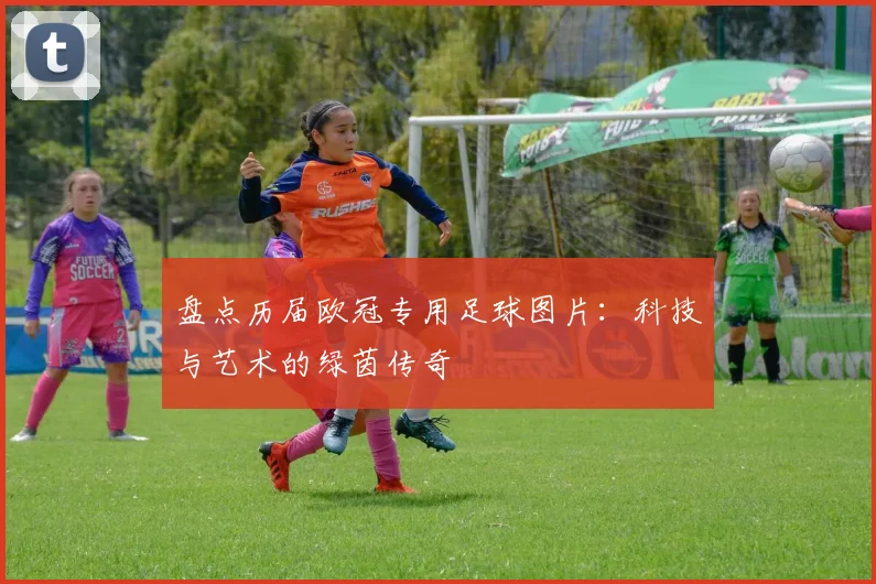 盘点历届欧冠专用足球图片：科技与艺术的绿茵传奇