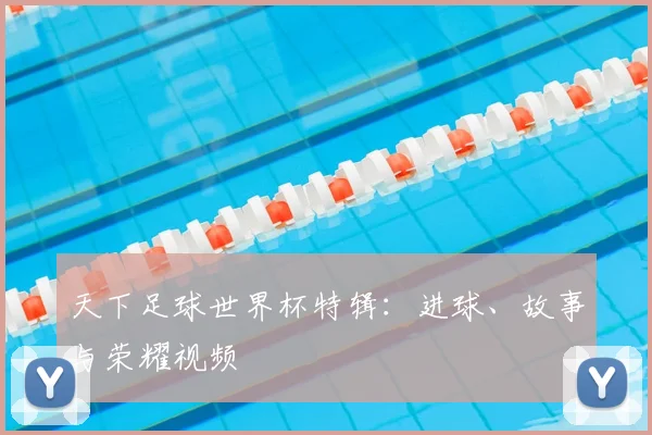 天下足球世界杯特辑：进球、故事与荣耀视频