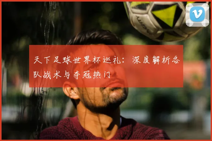 天下足球世界杯巡礼：深度解析各队战术与夺冠热门