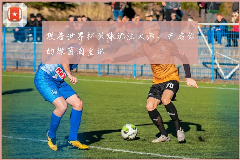 跟着世界杯买球玩法大师，开启你的绿茵淘金记
