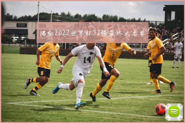揭秘2022世界杯32强最终大名单