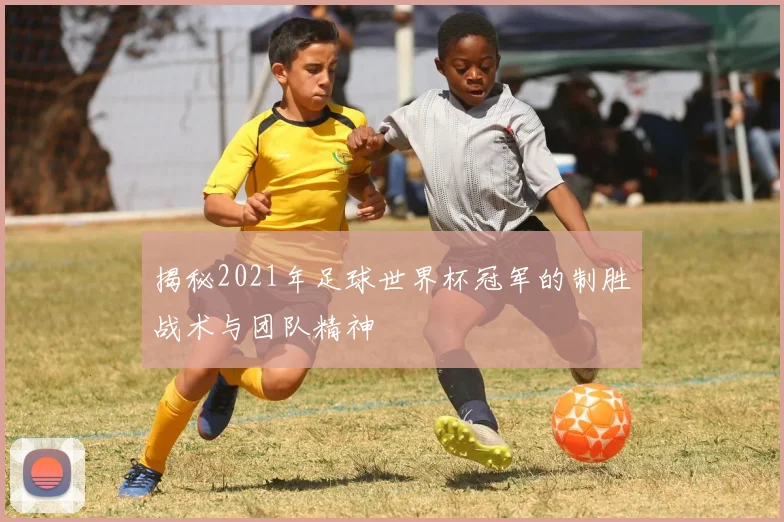 揭秘2021年足球世界杯冠军的制胜战术与团队精神