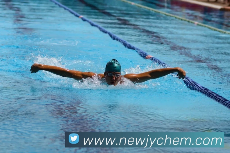 App Interface Preview