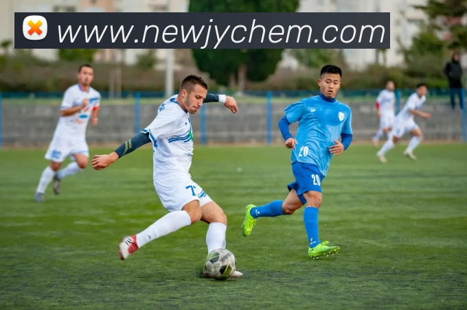 开云在线登录入口官网APP 封面图